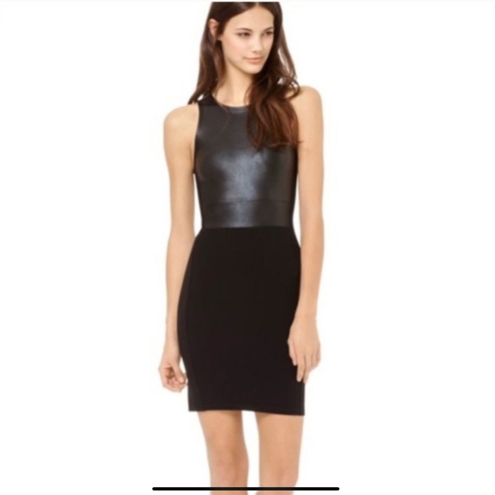 Aritzia Wilfred Dress